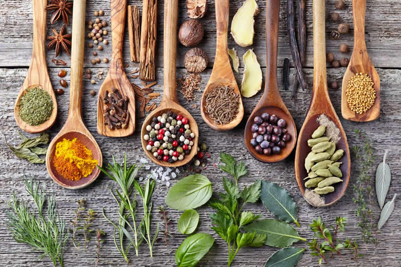 Toko Herbal Cirebon yang Menjual Obat GERD Berkualitas dan Berkhasiat dengan Harga Terjangkau 2023.