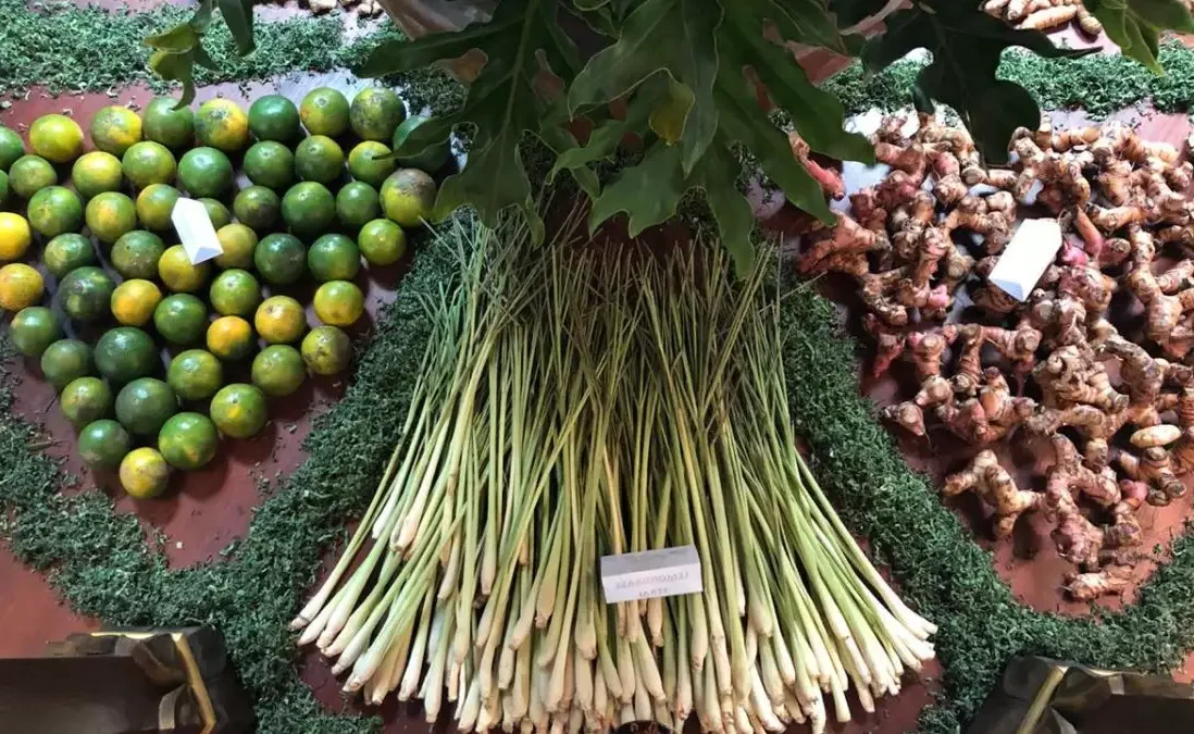 Toko Herbal Rawamangun dengan Produk Sari Kurma Asli dan Berkualitas yang Harganya Ekonomis 2023.