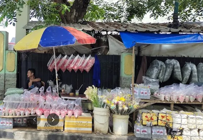 10 Toko Bunga Rawa Belong, Terima Pembelian Secara Grosir dan Per Tangkai dengan Harga Murah
