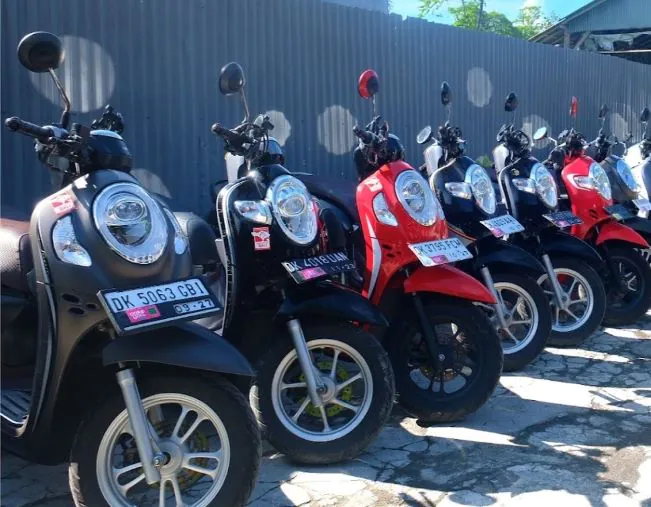 Pakegoo Sewa Motor Jogja - Photo by Google