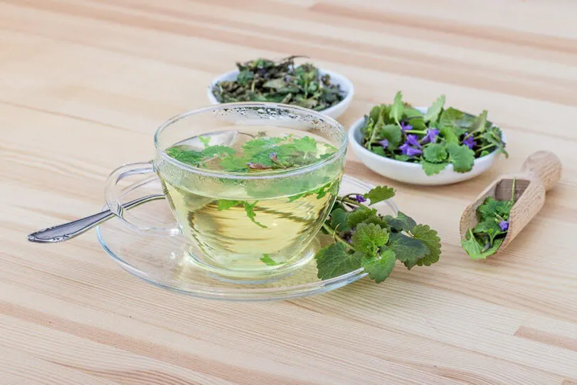 Toko Herbal Cina yang Menjual Obat-obatan Untuk Menambah Stamina Pria Terlengkap 2023.